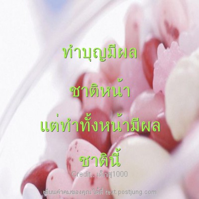 ทำบุญมีผล ชาติหน้า แต่ทำทั้งหน้ามีผล ชาตินี้