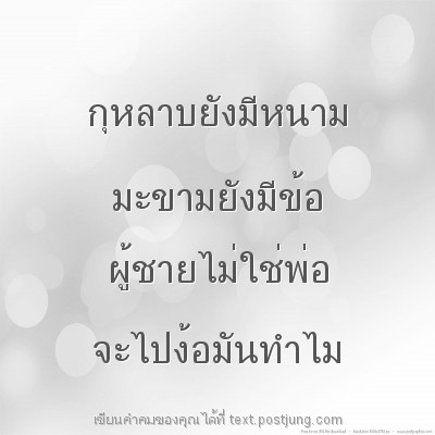 กุหลาบยังมีหนาม มะขามยังมีข้อ ผู้ชายไม่ใช่พ่อ จะไปง้อมันทำไม