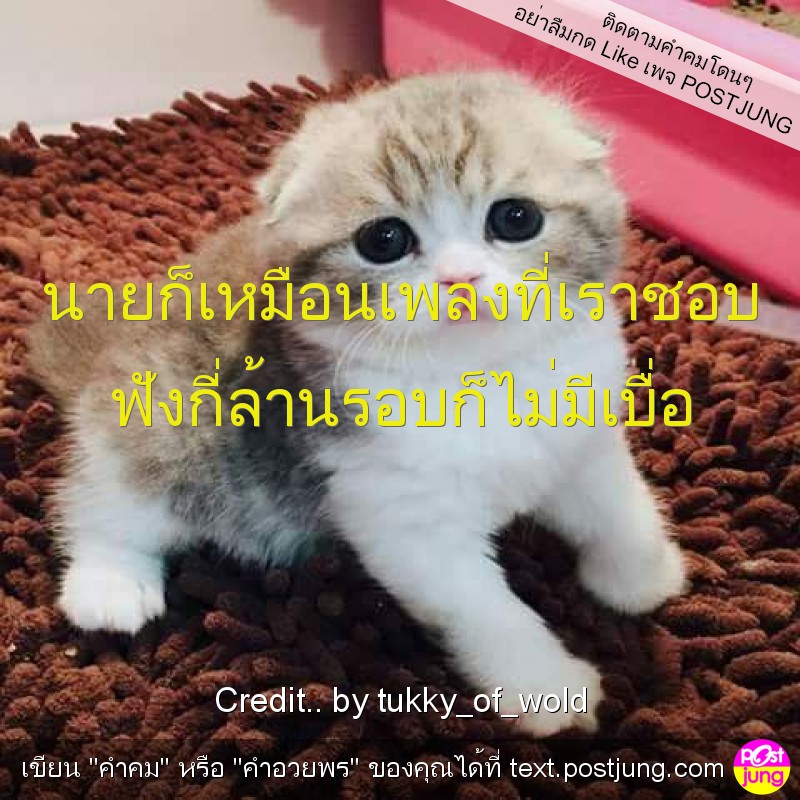 นายก็เหมือนเพลงที่เราชอบ ฟังกี่ล้านรอบก็ไม่มีเบื่อ