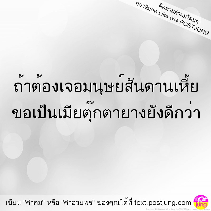 ถ้าต้องเจอมนุษย์สันดานเหี้ย ขอเป็นเมียตุ๊กตายางยังดีกว่า