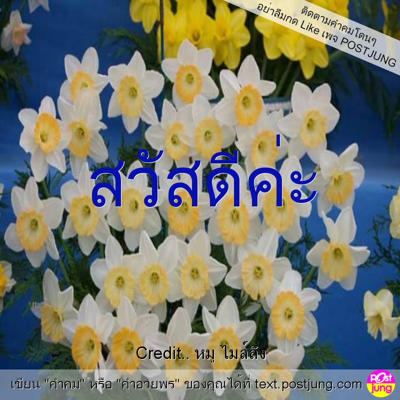 สวัสดีค่ะ