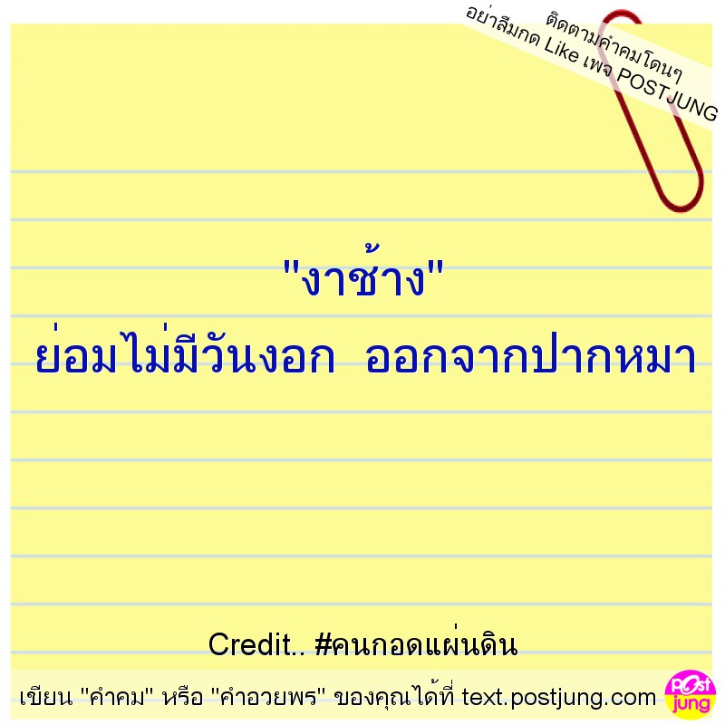 "งาช้าง" ย่อมไม่มีวันงอก ออกจากปากหมา