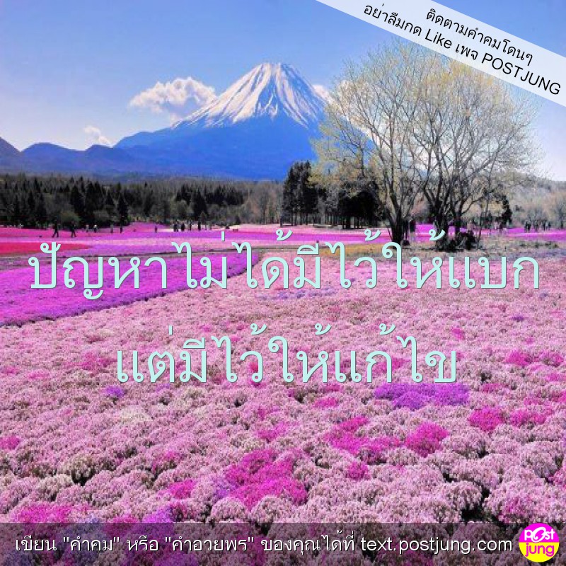 ปัญหาไม่ได้มีไว้ให้แบก แต่มีไว้ให้แก้ไข