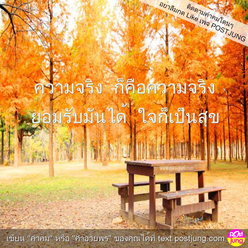 ความจริง ก็คือความจริง ยอมรับมันได้ ใจก็เป็นสุข