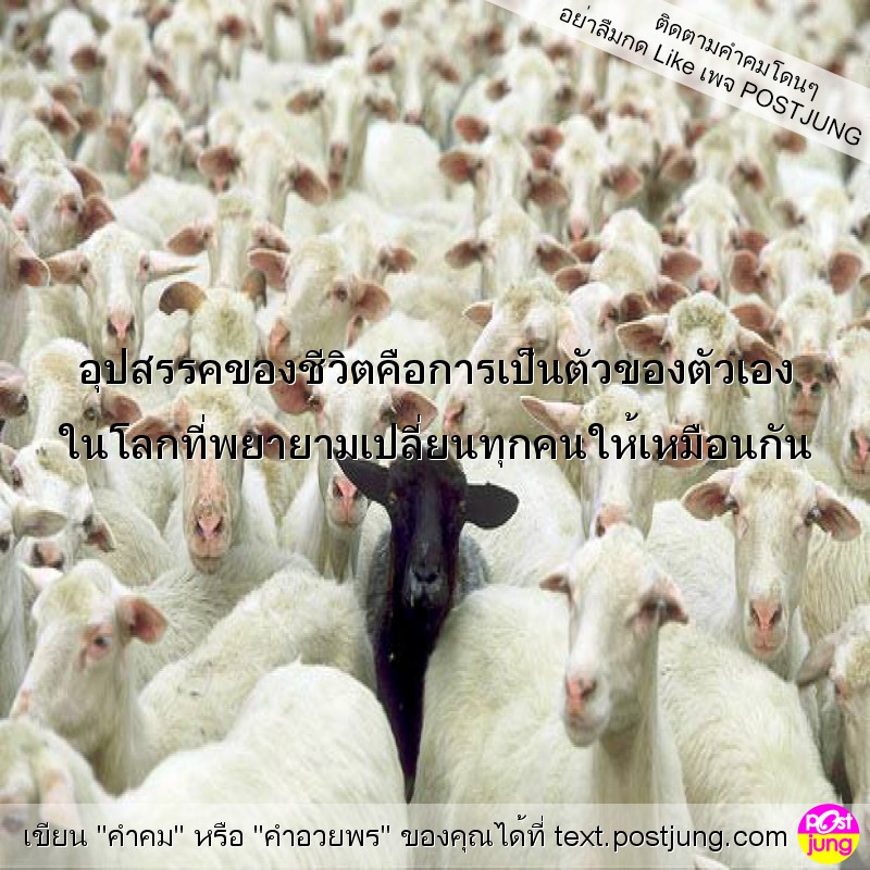อุปสรรคของชีวิตคือการเป็นตัวของตัวเอง ในโลกที่พยายามเปลี่ยนทุกคนให้เหมือนกัน