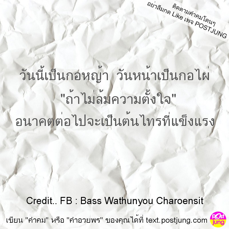 วันนี้เป็นกอหญ้า วันหน้าเป็นกอไผ่ "ถ้าไม่ล้มความตั้งใจ" อนาคตต่อไปจะเป็นต้นไทรที่แข็งแรง