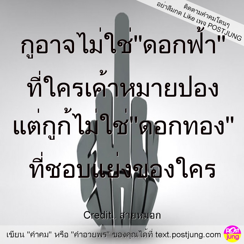 กูอาจไม่ใช่"ดอกฟ้า" ที่ใครเค้าหมายปอง แต่กูก้ไม่ใช่"ดอกทอง" ที่ชอบแย่งของใคร