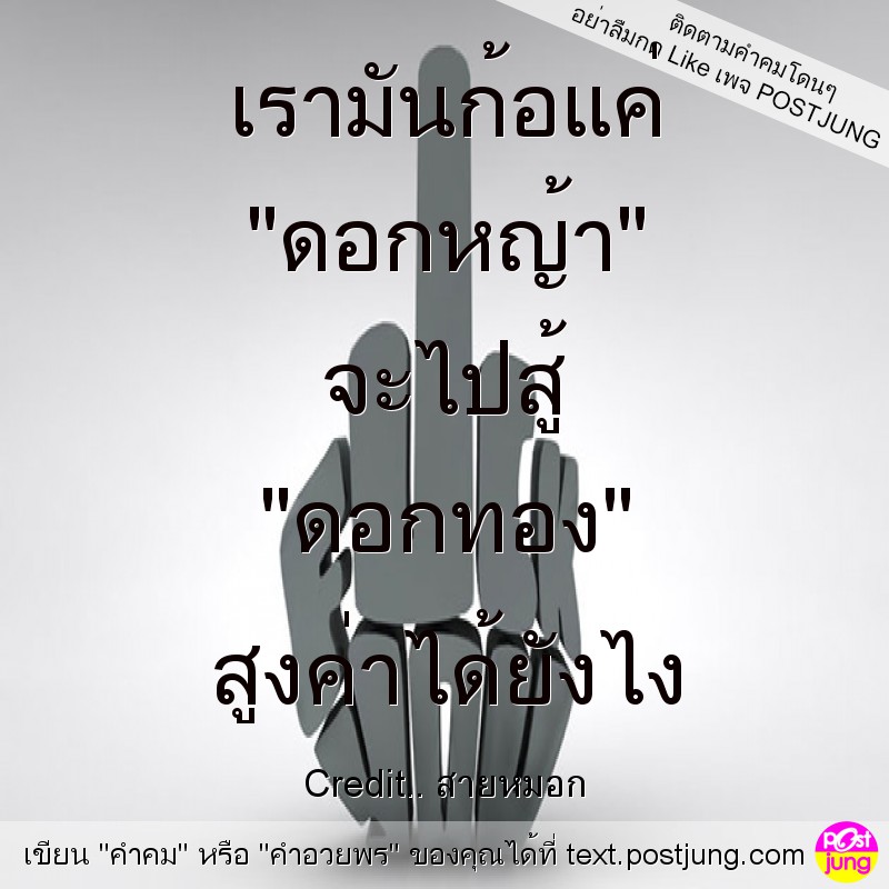 เรามันก้อแค่ "ดอกหญ้า" จะไปสู้ "ดอกทอง" สูงค่าได้ยังไง