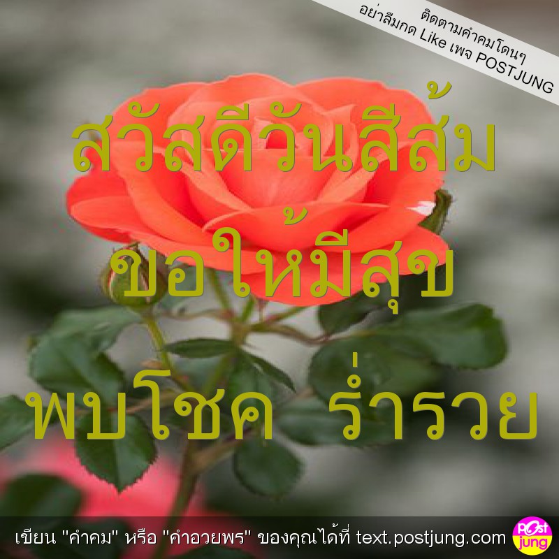 สวัสดีวันสีส้ม ขอให้มีสุข พบโชค ร่ำรวย