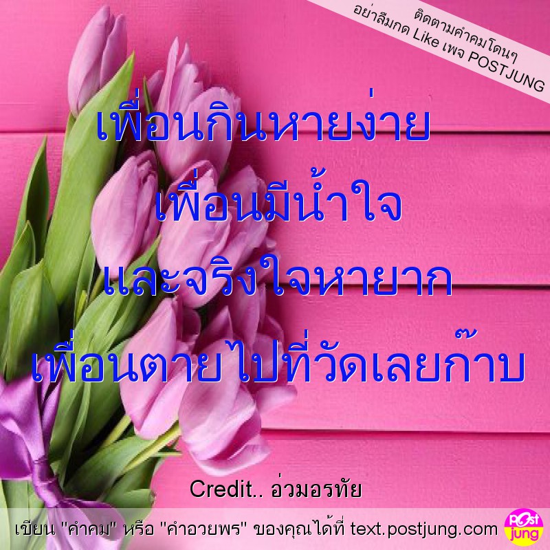 เพื่อนกินหายง่าย เพื่อนมีน้ำใจ และจริงใจหายาก เพื่อนตายไปที่วัดเลยก๊าบ