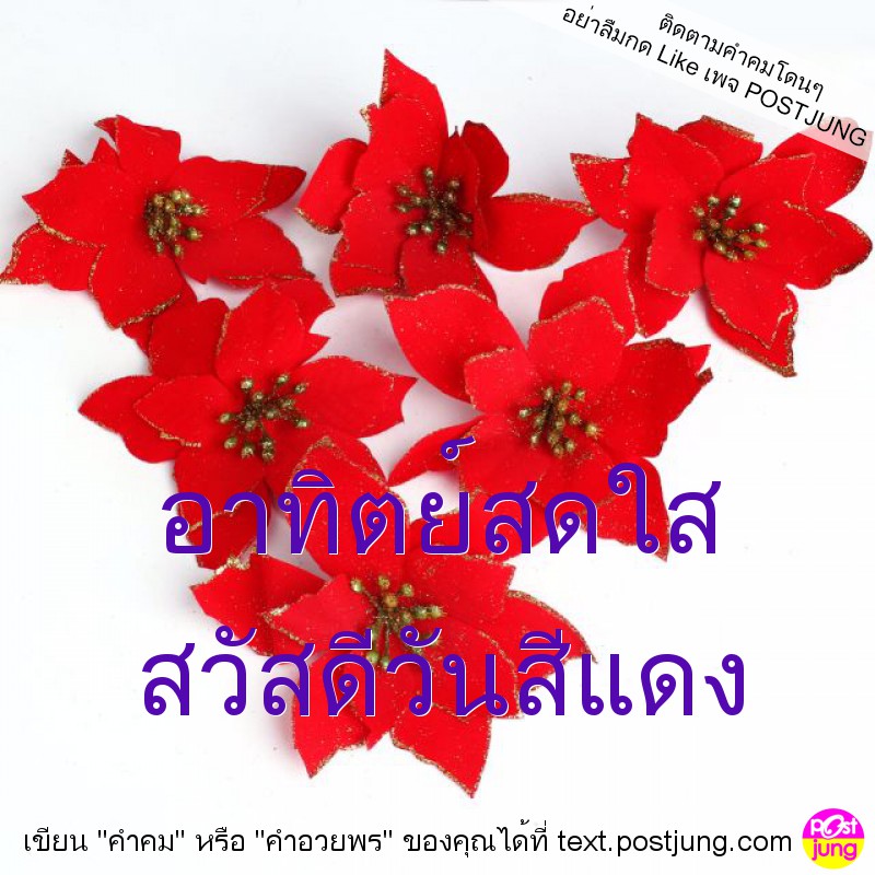 อาทิตย์สดใส สวัสดีวันสีแดง