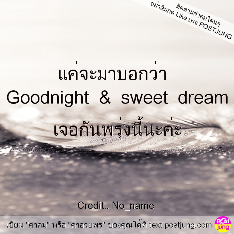 แค่จะมาบอกว่า " Goodnight & sweet dream " เจอกันพรุ่งนี้นะค่ะ
