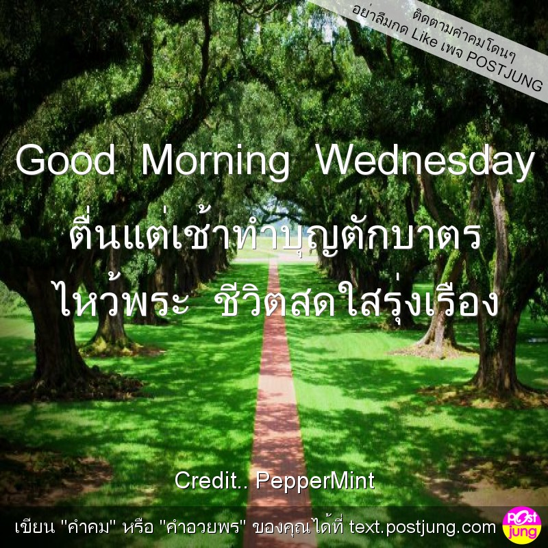 Good Morning Wednesday ตื่นแต่เช้าทำบุญตักบาตร ไหว้พระ ชีวิตสดใสรุ่งเรือง